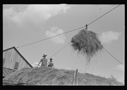 Stacking hay with cable rig and fork, central Ohio