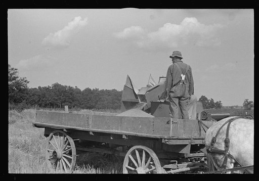 Untitled photo, possibly related to: Wagon for hauling threshed wheat from field, central Ohio