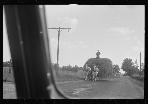 Untitled photo, possibly related to: Wagon for hauling threshed wheat from field, central Ohio