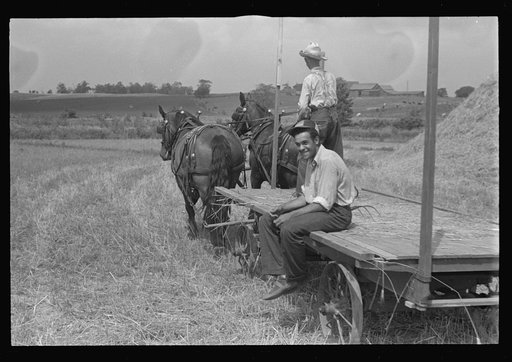 Untitled photo, possibly related to: Threshing wheat in central Ohio