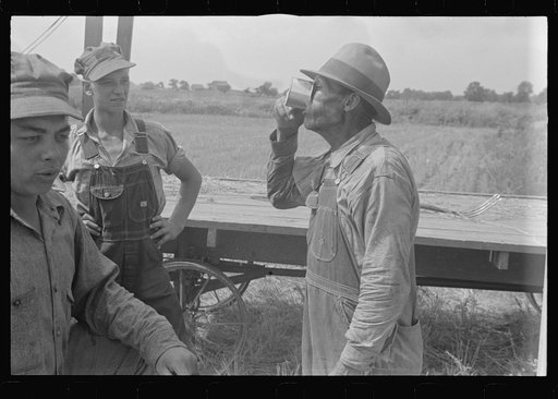 Untitled photo, possibly related to: Members of threshing crew, central Ohio