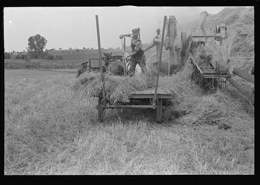 Threshing wheat in central Ohio