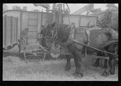 Team standing along side of grain separator, central Ohio