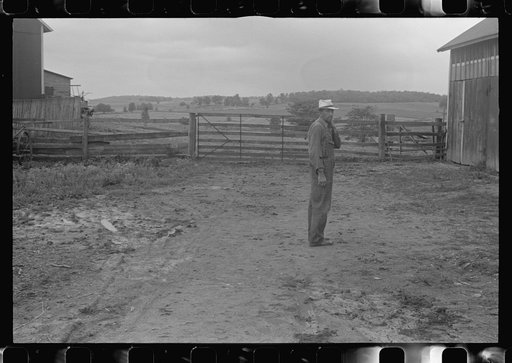 Virgil Thaxton, farmer, in barnyard of Thaxton farm, near Mechanicsburg, Ohio