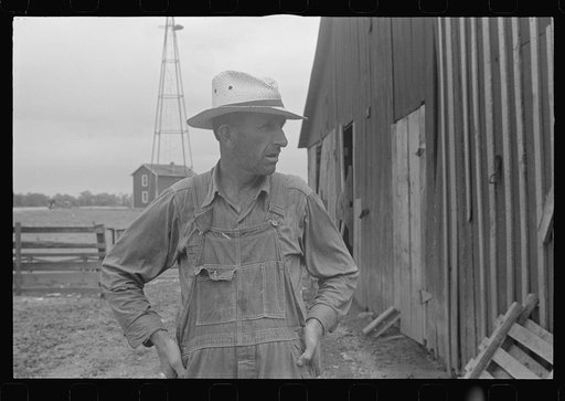 Untitled photo, possibly related to: Mr. Virgil Thaxton, farmer, near Mechanicsburg, Ohio