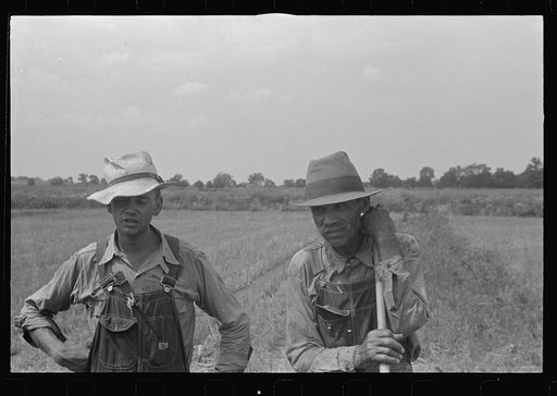Untitled photo, possibly related to: Wheat harvest in the field; feeding the thresher, central Ohio (see general caption)