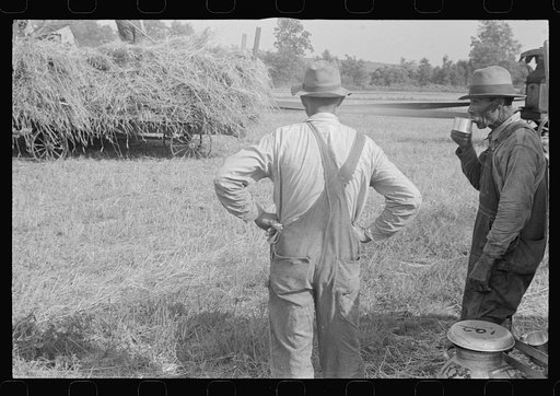 Untitled photo, possibly related to: Members of threshing crew, central Ohio