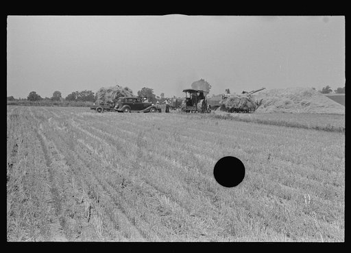 Untitled photo, possibly related to: Wheat stubble, central Ohio