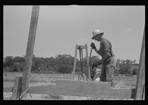 Untitled photo, possibly related to: Tying bundles of wheat by hand, central Ohio
