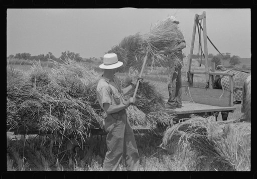 Untitled photo, possibly related to: Tying bundles of wheat by hand, central Ohio