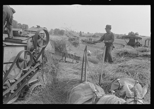 Threshing wheat in central Ohio
