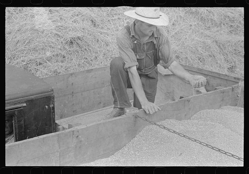 Untitled photo, possibly related to: Threshing wheat in central Ohio
