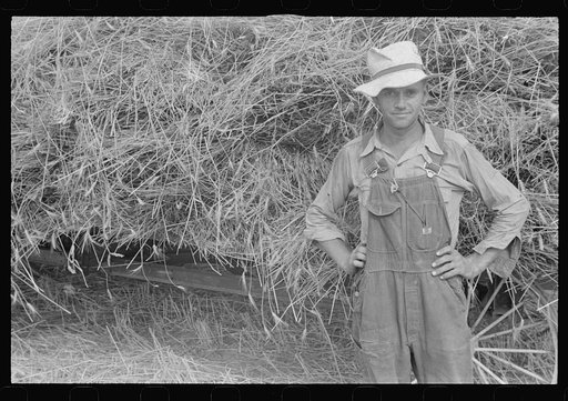 Untitled photo, possibly related to: Threshing wheat in central Ohio