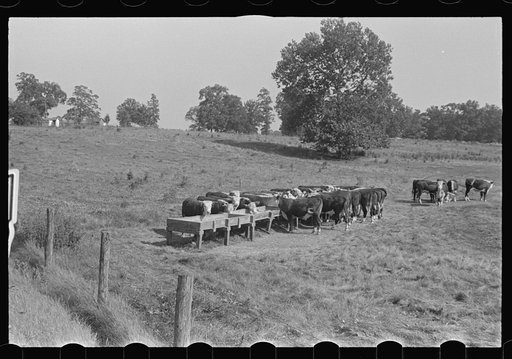 Untitled photo, possibly related to: Rack for feeding cattle in central Ohio (see general caption)