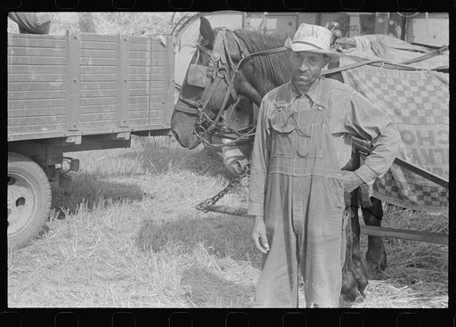 Harvest hand and helper on the Virgil Thaxton farm near Mechanicsburg, Ohio