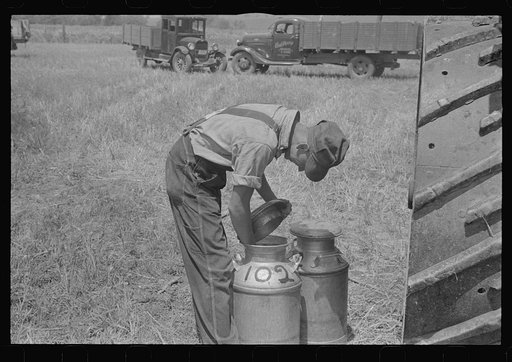 Untitled photo, possibly related to: Wheat harvest in the field; feeding the thresher. Central Ohio (see general caption)