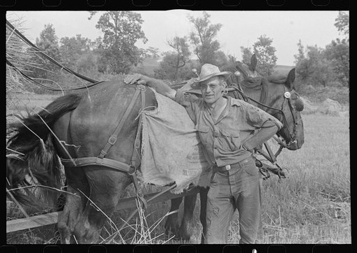 Harvest hand and helper on the Virgil Thaxton farm near Mechanicsburg, Ohio