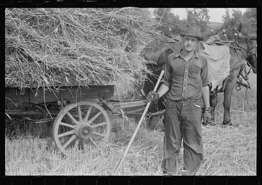 Mechanicsburg (vicinity), Ohio. Harvest hand and helper on the Virgil Thaxton farm
