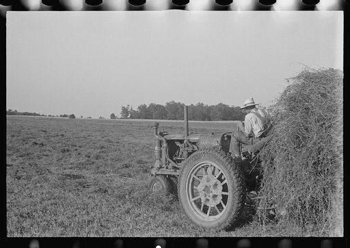 Untitled photo, possibly related to: Mechanicsburg (vicinity), Ohio. Harvest hand and helper on the Virgil Thaxton farm