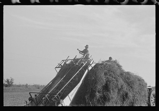 Untitled photo, possibly related to: Mechanicsburg (vicinity), Ohio. Harvest hand and helper on the Virgil Thaxton farm