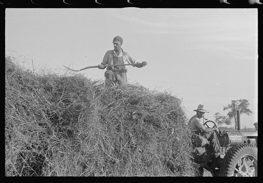 Untitled photo, possibly related to: Mechanicsburg (vicinity), Ohio. Harvest hand and helper on the Virgil Thaxton farm
