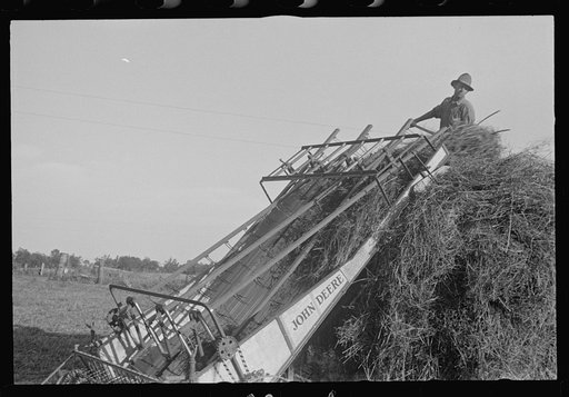 Untitled photo, possibly related to: Mechanicsburg (vicinity), Ohio. Harvest hand and helper on the Virgil Thaxton farm