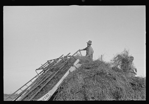 Loading hay, central Ohio