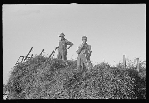 Untitled photo, possibly related to: Mechanicsburg (vicinity), Ohio. Harvest hand and helper on the Virgil Thaxton farm
