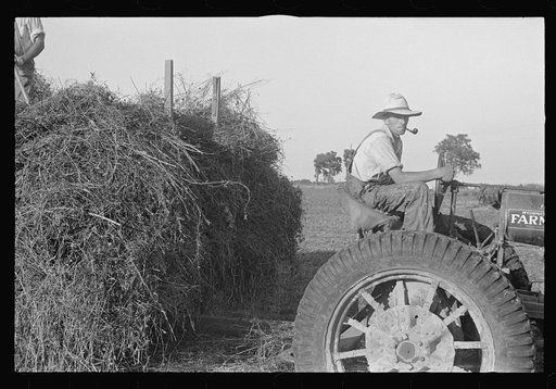 Untitled photo, possibly related to: Mechanicsburg (vicinity), Ohio. Harvest hand and helper on the Virgil Thaxton farm