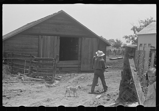 Untitled photo, possibly related to: Farmers walking toward house for dinner. Wheat harvest time in central Ohio