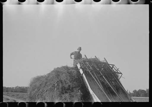 Untitled photo, possibly related to: Loading hay from window with hayloader, central Ohio