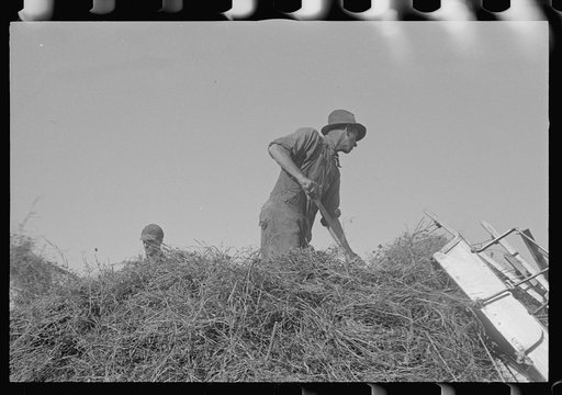 Untitled photo, possibly related to: Loading hay from window with hayloader, central Ohio