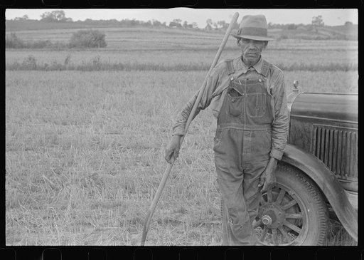 Harvest hand and helper on the Virgil Thaxton farm near Mechanicsburg, Ohio