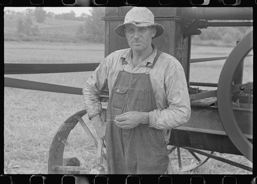 Harvest hand and helper on the Virgil Thaxton farm near Mechanicsburg, Ohio