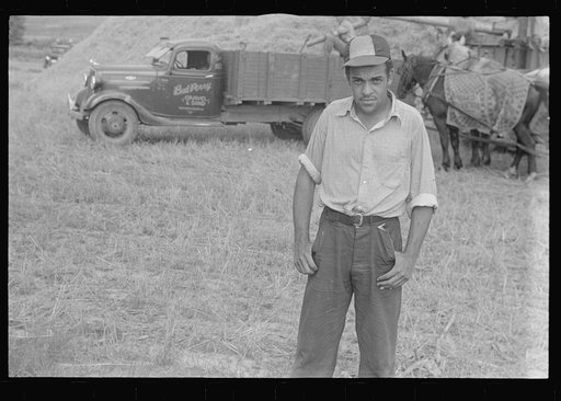 Mechanicsburg, Ohio. Harvest hand and helper on the Virgil Thaxton farm