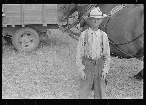 Mechanicsburg, Ohio. Harvest hand and helper on the Virgil Thaxton farm
