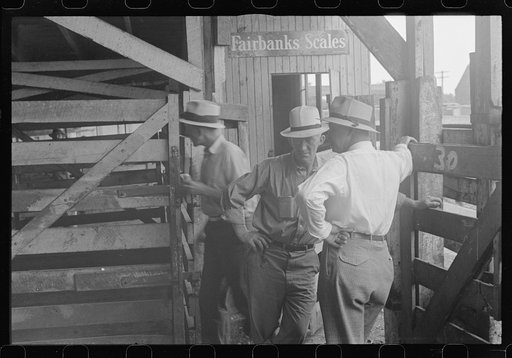 Untitled photo, possibly related to: Buyers at Pickaway Livestock Cooperative Association, central Ohio