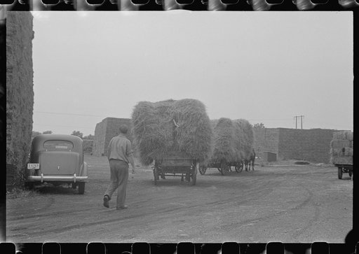 Untitled photo, possibly related to: Horses on farm during wheat harvest, central Ohio