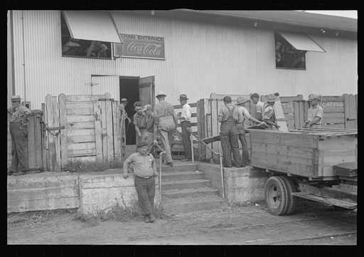 Unloading platform. Pickaway Livestock Cooperative Association, central Ohio