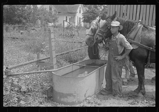 Farmyard scene during wheat harvest, central Ohio