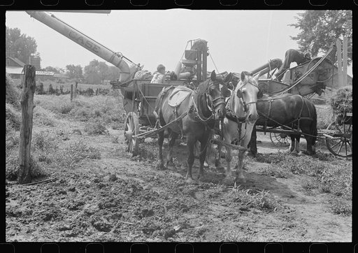 Untitled photo, possibly related to: Adjusting straw stacker or grain separator, Ohio