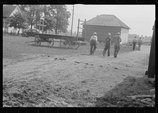 Untitled photo, possibly related to: Horses on farm during wheat harvest, central Ohio