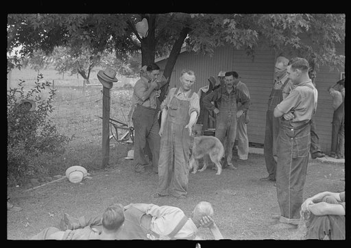 Political forum before dinner during wheat harvest, central Ohio
