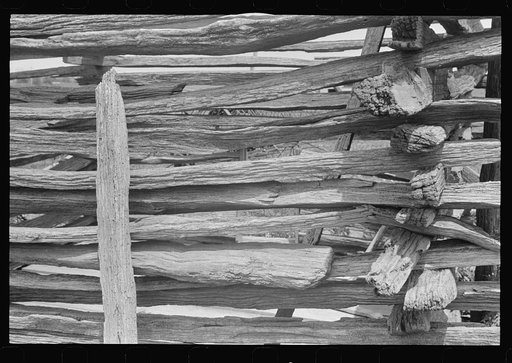 Detail of log fence in central Ohio (see general caption)