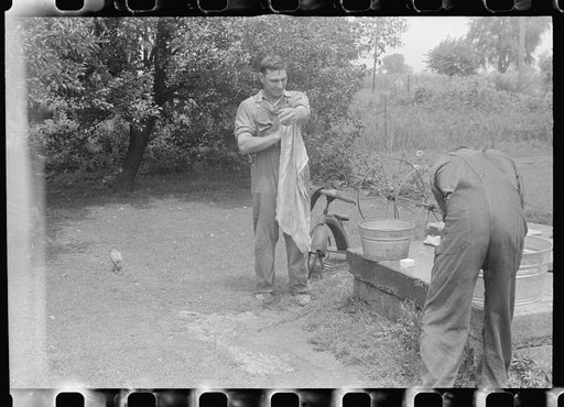 Washing up before dinner during wheat harvest, central Ohio