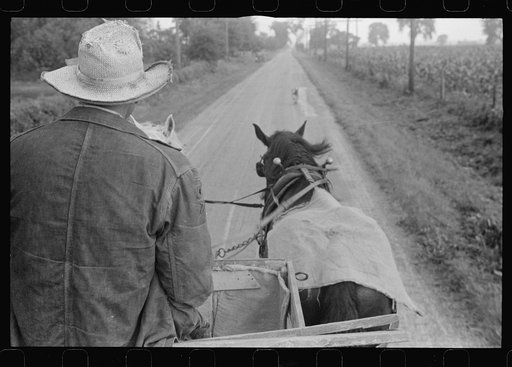 Untitled photo, possibly related to: Farmer hauling wheat to elevator, central Ohio