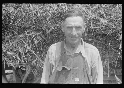 Member of threshing crew, central Ohio