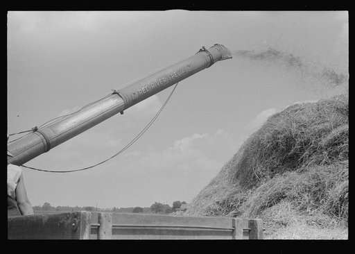 Wheat harvest. In the field, the chaff and the straw. central Ohio.  (see general caption)