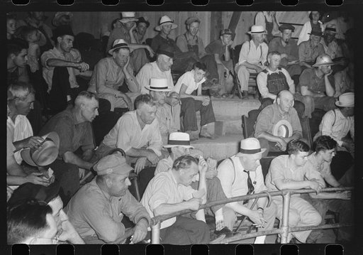 Auction room at Pickaway Livestock Cooperative Association, central Ohio