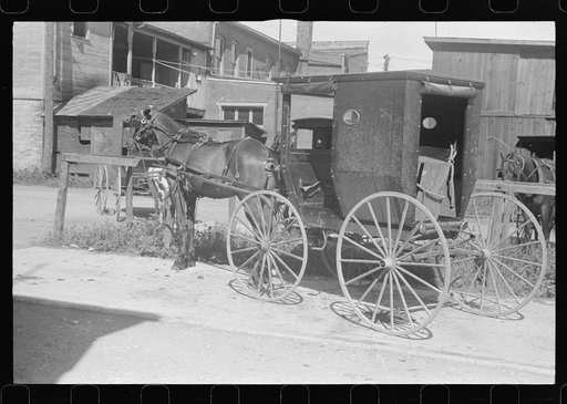 Amish horse-drawn wagon, Plain City, Ohio